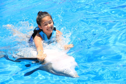 Dolphin Swim00028
