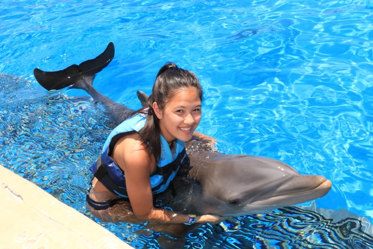 Dolphin Swim00053