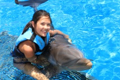 Dolphin Swim00059